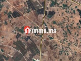 Terrain titré 14000 m2 - Terrain à vendre - El Jadida