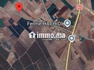 Terrain titré 14000 m2 - Terrain à vendre - El Jadida