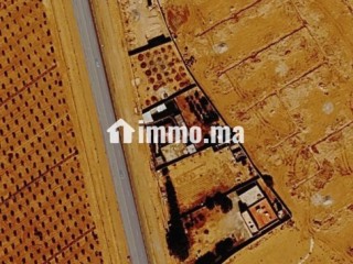 Vend terrain ferme entre tiznit et aglou - Terrain à vendre - Tiznit