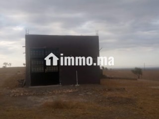 Terrain 1 hektar avec villa 170 m2 titre - Villa à vendre