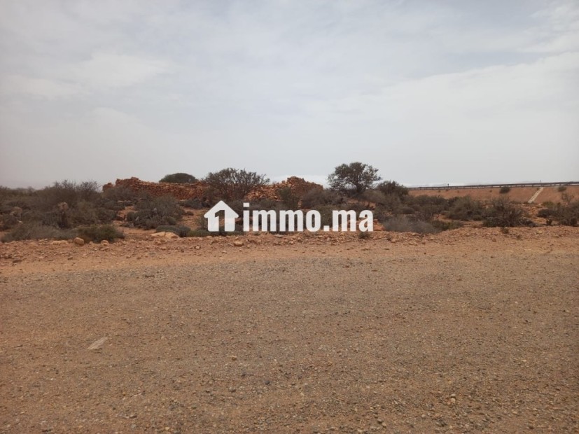 أرض محفظة على طريق أكلو القديمة - Vente Immobilier - Tiznit - photo 5