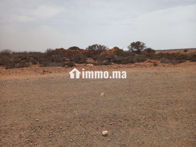 أرض محفظة على طريق أكلو القديمة - Vente Immobilier - Tiznit - photo 4