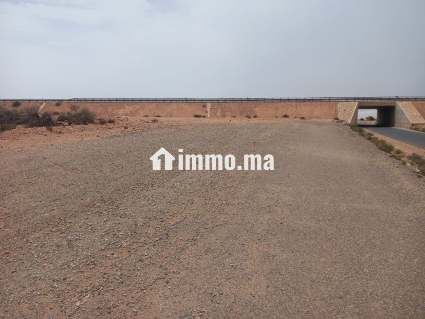 أرض محفظة على طريق أكلو القديمة - Vente Immobilier - Tiznit - photo 3