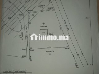 أرض محفظة على طريق أكلو القديمة - Terrain à vendre - Tiznit