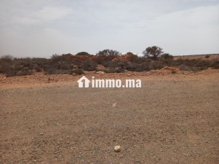 أرض محفظة على طريق أكلو القديمة - Terrain à vendre - Tiznit
