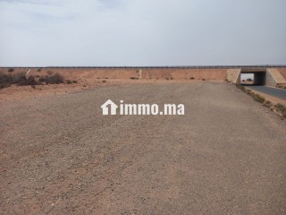 أرض محفظة على طريق أكلو القديمة - Terrain à vendre - Tiznit