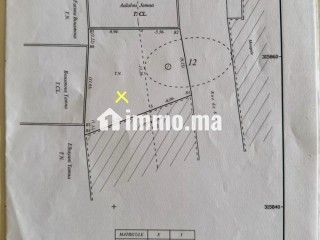 بقعة أرضية محفظة للبيع أكلو - Terrain titré a aglou avendre - Terrain à vendre - Tiznit