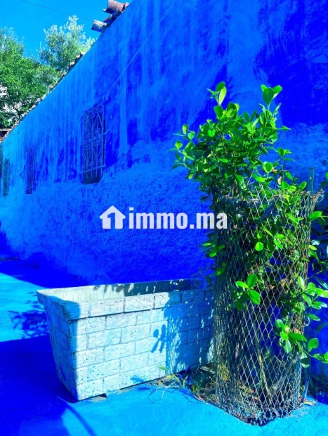 منزل مفروش للكراء الشهري في شفشاون – حي لوبار، سيدي بوجمعة - Vente Immobilier - Chefchaouen - photo 3