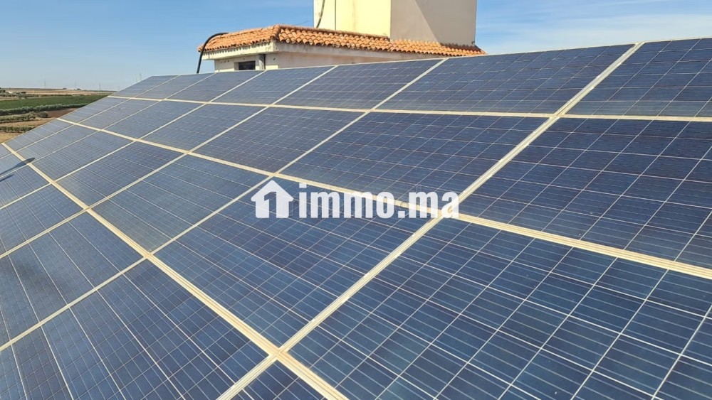 Ferme équipée TF 12 hcr à vendre 10mn Meknes - Vente Immobilier - Meknes - photo 4