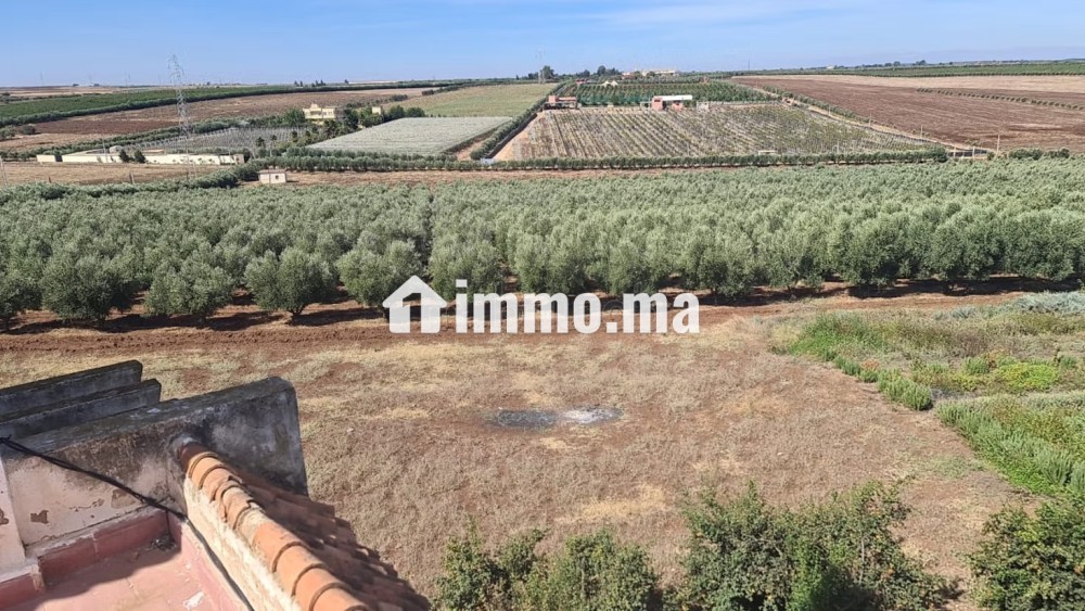 Ferme équipée TF 12 hcr à vendre 10mn Meknes - Vente Immobilier - Meknes - photo 5