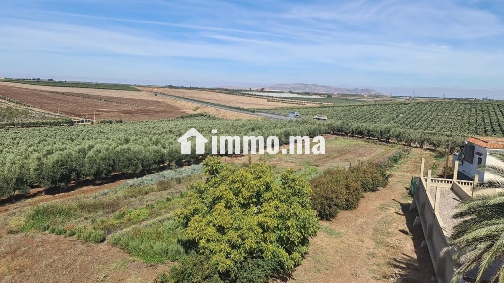 Ferme équipée TF 12 hcr à vendre 10mn Meknes - Vente Immobilier - Meknes - photo 6