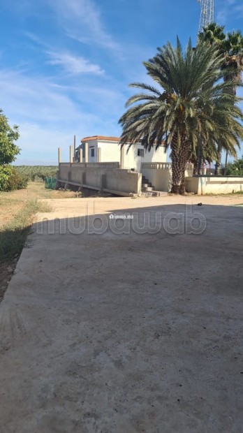 Ferme équipée TF 12 hcr à vendre 10mn Meknes - Vente Immobilier - Meknes - photo 7