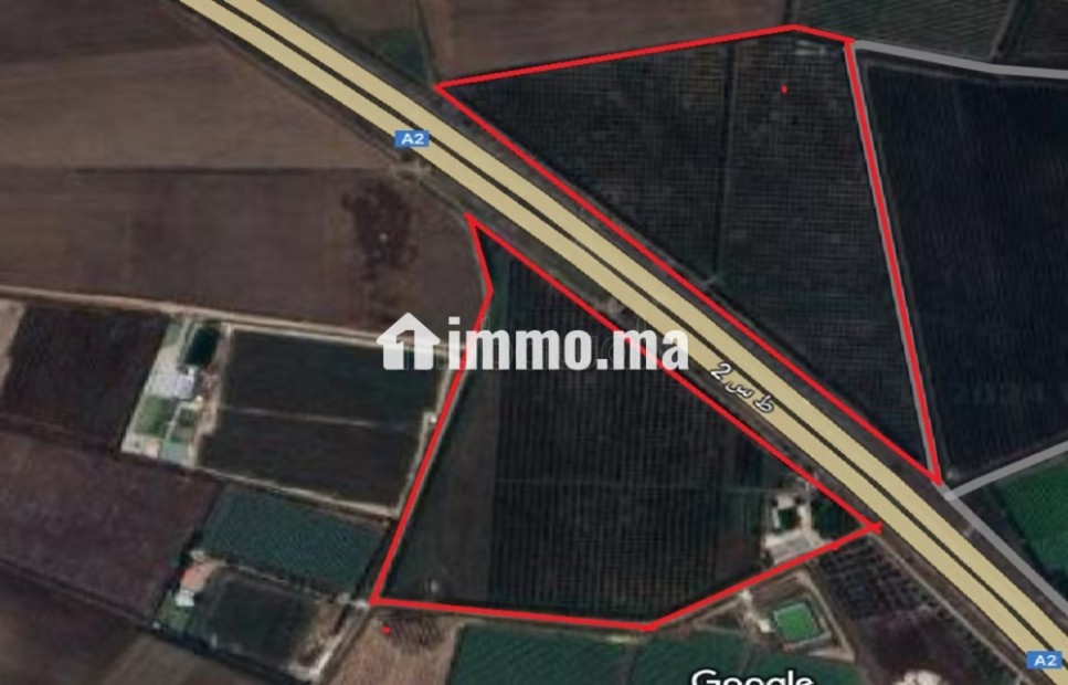 Ferme équipée TF 12 hcr à vendre 10mn Meknes - Vente Immobilier - Meknes - photo 8