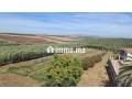ferme-equipee-tf-12-hcr-a-vendre-10mn-meknes-small-5