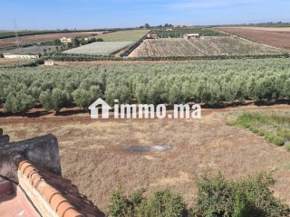 Ferme équipée TF 12 hcr à vendre 10mn Meknes - Terrain à vendre - Meknes