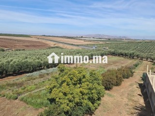Ferme équipée TF 12 hcr à vendre 10mn Meknes - Terrain à vendre - Meknes