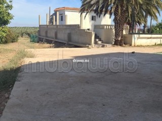 Ferme équipée TF 12 hcr à vendre 10mn Meknes - Terrain à vendre - Meknes