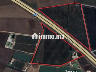 Ferme équipée TF 12 hcr à vendre 10mn Meknes - Terrain à vendre - Meknes