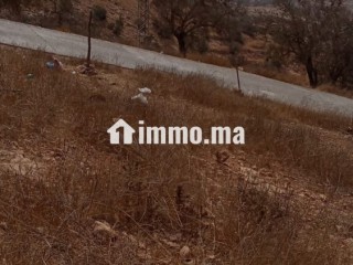 Terrain titré 152 m² avec vue mer à ait bouauod – Taghazout - Terrain à vendre - Agadir