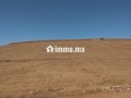 Terrain agricole titré 3,95 Ha - Non loti - miniature 4