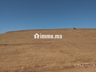 Terrain agricole titré 3,95 Ha - Non loti - Terrain à vendre - Beni Mellal