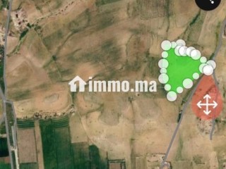 Terrain agricole titré 3,95 Ha - Non loti - Terrain à vendre - Beni Mellal