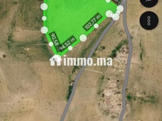 Terrain agricole titré 3,95 Ha - Non loti - Terrain à vendre - Beni Mellal