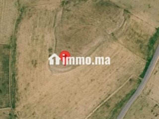 Terrain agricole titré 3,95 Ha - Non loti - Terrain à vendre - Beni Mellal