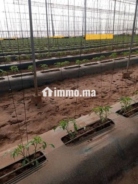 جهة سوس ماسة إقليم تارودانت عمالة تارودانت - Vente Immobilier - Taroudant - photo 1