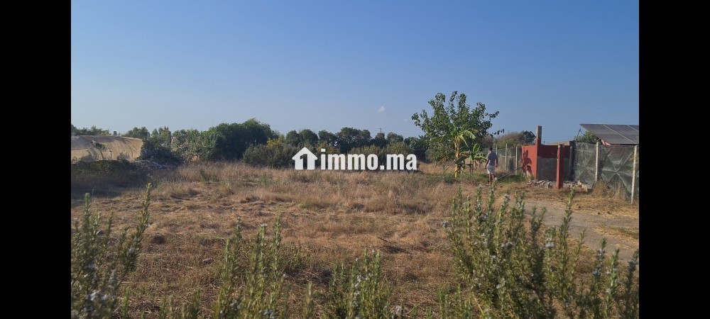 Terrain titré 1400m2 - Vente Immobilier - El Jadida - photo 3
