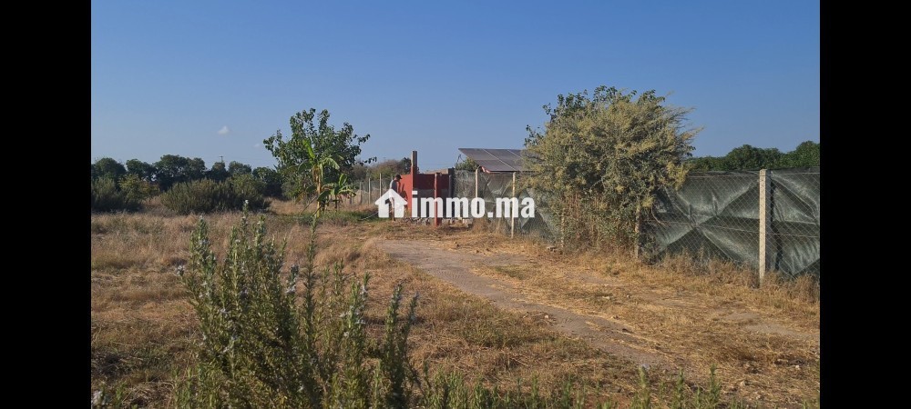 Terrain titré 1400m2 - Vente Immobilier - El Jadida - photo 7