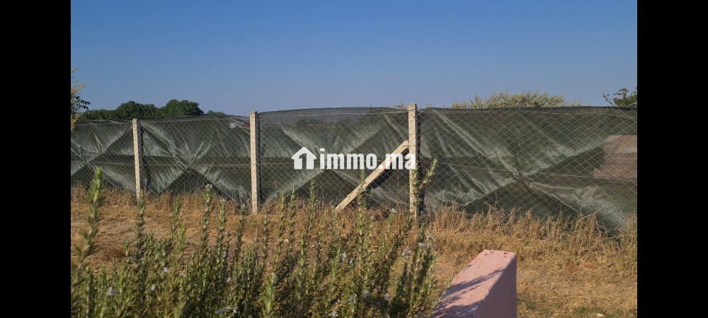 Terrain titré 1400m2 - Vente Immobilier - El Jadida - photo 2