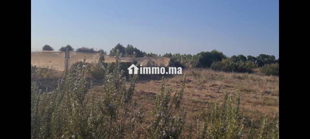 Terrain titré 1400m2 - Vente Immobilier - El Jadida - photo 1
