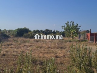 Terrain titré 1400m2 - Terrain à vendre - El Jadida