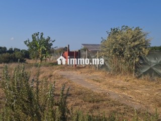 Terrain titré 1400m2 - Terrain à vendre - El Jadida
