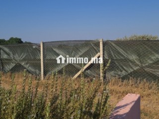 Terrain titré 1400m2 - Terrain à vendre - El Jadida