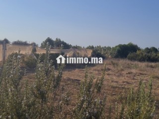 Terrain titré 1400m2 - Terrain à vendre - El Jadida