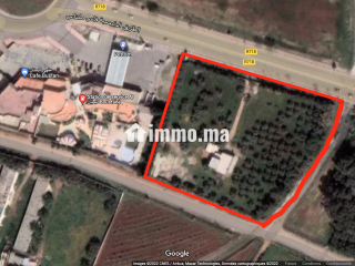 Terrain titré 1 hectare Wislane Meknès - Terrain à vendre - Meknes