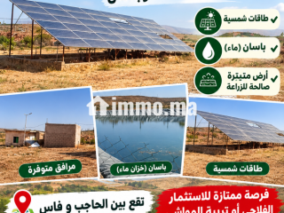 فرصة للاستثمار: 7.5 هكتار مجهزة بالطاقات الشمسية وباسان – بين الحاجب وفاس - Terrain à vendre - El Hajeb