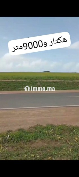 Terrain à vendre - Vente Immobilier - El Jadida - photo 6