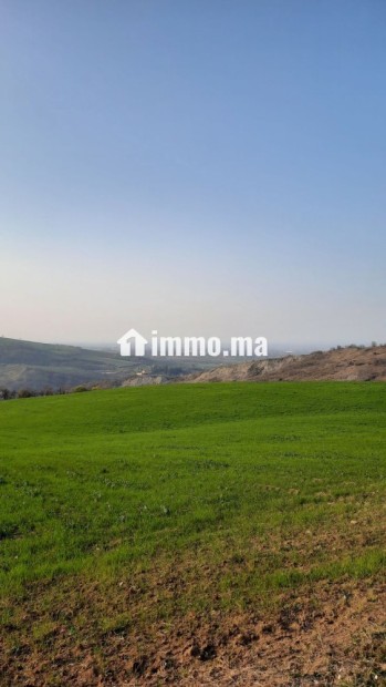 Terrain à vendre - Vente Immobilier - El Jadida - photo 2