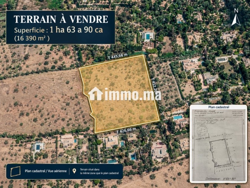 TERRAIN D’EXCEPTION À LA PALMERAIE DE MARRAKECH - Vente Immobilier - Marrakech - photo 1