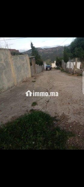 ارض محفظة للبيع بفدان السعيدي - Vente Immobilier - Tanger - photo 2