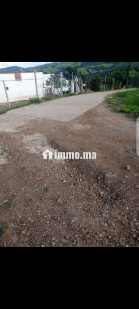 ارض محفظة للبيع بفدان السعيدي - Vente Immobilier - Tanger - photo 6
