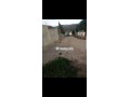 ارض محفظة للبيع بفدان السعيدي - miniature 2