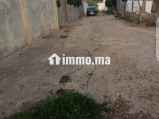 ارض محفظة للبيع بفدان السعيدي - Terrain à vendre - Tanger