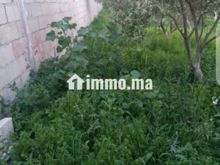 ارض محفظة للبيع بفدان السعيدي - Terrain à vendre - Tanger