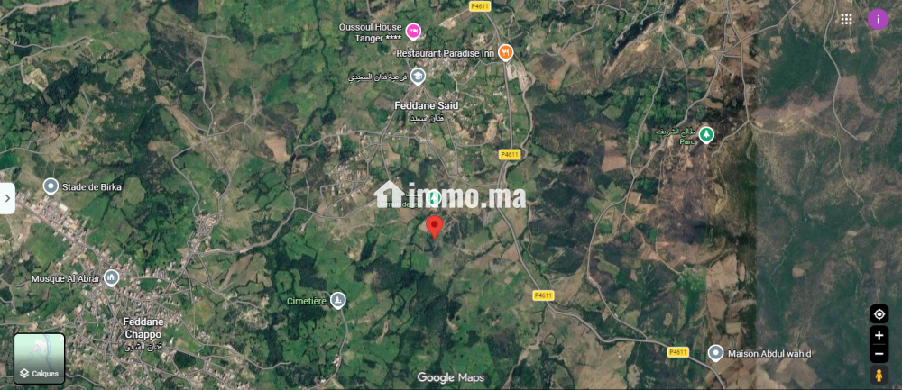ارض فلاحي ب فدان سعيدي محفظة بها بئر وأشجار الزيتون - Vente Immobilier - Tanger - photo 1