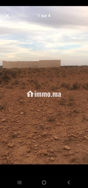 ارض للبيع بمدينة تزنيت - Vente Immobilier - Tiznit - photo 1