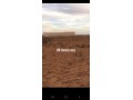 ارض للبيع بمدينة تزنيت - miniature 1